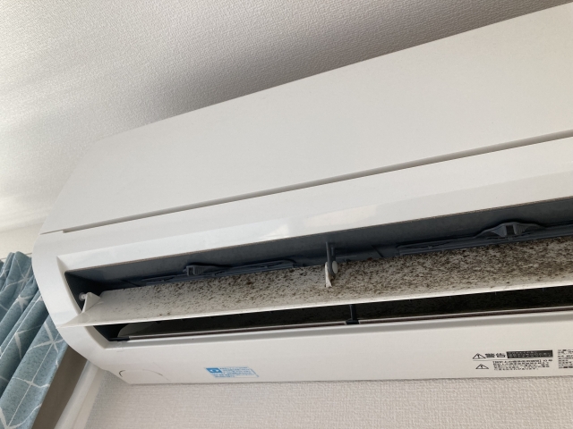 夏かぜ?長びく咳…それって「夏型過敏性肺炎(なつがた かびんせい はいえん)」かもしれません